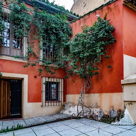 Alfonso Ix (adults Only) 2*