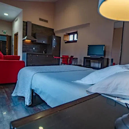 Hotel Alfonso Ix Caces