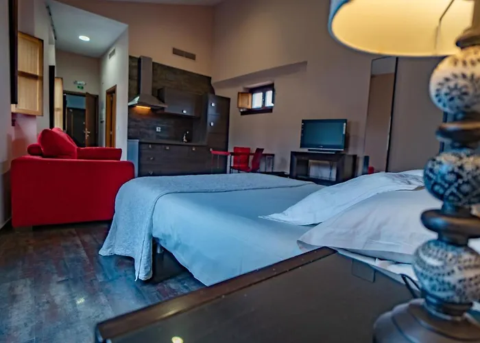 Hotel Alfonso Ix (adults Only) Caces