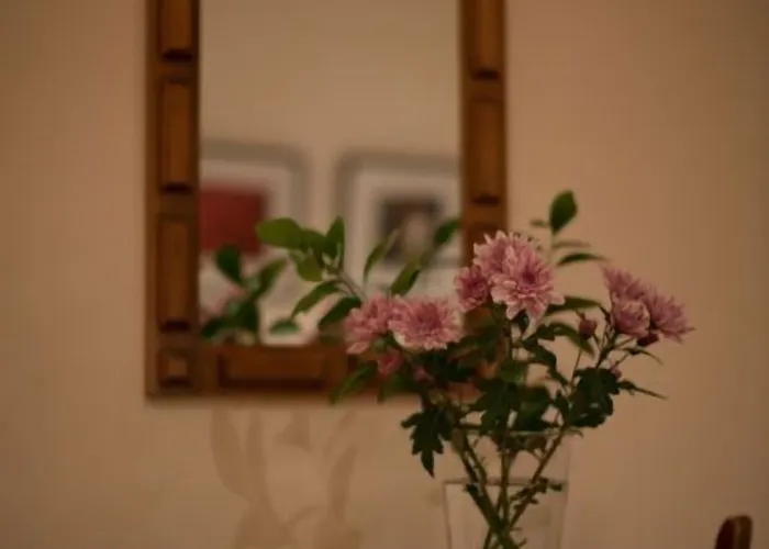 Hotel Alfonso Ix (adults Only)