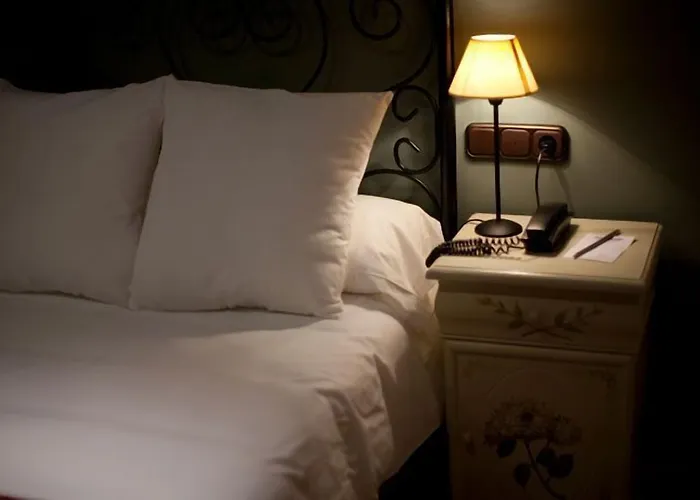 Hotel Alfonso Ix (adults Only) Caces