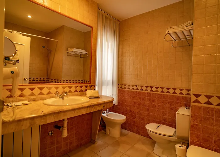 Otel Alfonso Ix (adults Only) 2*